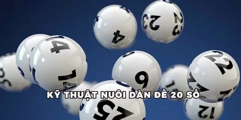 Kỹ thuật nuôi dàn 20 số đề chuẩn cao thủ bạn nên biết